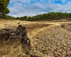 Ventajas y desventajas del cambio climatico