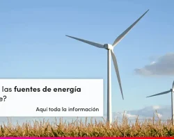 Ventajas y desventajas del biogas