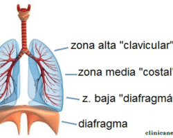 Ventajas y desventajas del diafragma