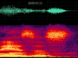 Ventajas y desventajas de Audacity.