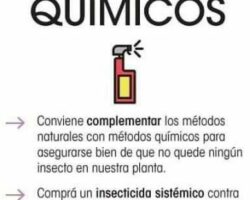 Ventajas y desventajas de los métodos químicos de esterilización