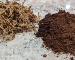 Ventajas y desventajas del peat moss