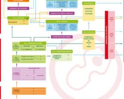 Ventajas y desventajas del sistema educativo de Finlandia