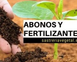 Ventajas y desventajas de los abonos y fertilizantes