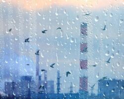 Ventajas y desventajas de la captación de agua de lluvia