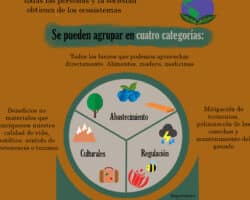 Ventajas y desventajas de los pagos por servicios ambientales