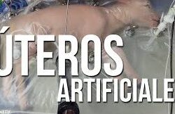 Ventajas y desventajas de los úteros artificiales