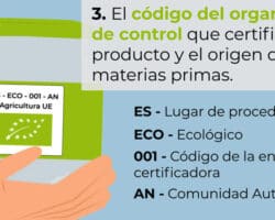 Ventajas y desventajas de los eco productos