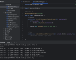 Ventajas y desventajas de las características de IntelliJ IDEA