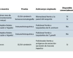 Ventajas y desventajas de la inmunocromatografía.