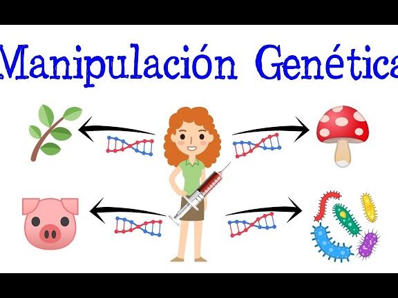 💡 Ventajas Y Desventajas De La Manipulación Genética En Seres Humanos 3871