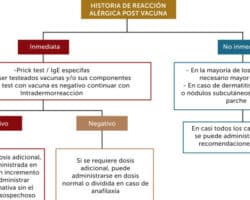 Ventajas y desventajas de las vacunas de subunidades