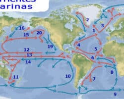 Las corrientes marinas presentan tanto ventajas como desventajas. En cuanto a las ventajas, las corrientes marinas tienen la capacidad de transportar nutrientes y oxígeno a lo largo de las costas y pueden influir en el clima de las regiones adyacentes. Además, estas corrientes pueden servir como vías de transporte para el comercio y la navegación. Por otro lado, también existen desventajas asociadas a las corrientes marinas. Por ejemplo, algunas corrientes pueden causar erosión costera y aumentar el riesgo de inundaciones en determinadas áreas. Además, algunas corrientes pueden ser peligrosas para la navegación, ya que pueden generar condiciones marítimas difíciles. En resumen, si bien las corrientes marinas ofrecen beneficios como la redistribución de nutrientes y el transporte, también pueden tener impactos negativos como la erosión y el riesgo de inundaciones, así como condiciones adversas para la navegación. Por tanto, es importante comprender y manejar adecuadamente estas corrientes para aprovechar sus ventajas y minimizar sus desventajas.