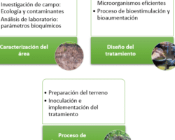 Ventajas y desventajas de la bioaumentación en el suelo.