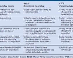 Ventajas y desventajas del motor PCI