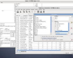 Ventajas y desventajas del software estadístico.