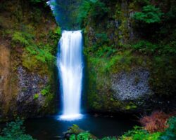 Ventajas y desventajas de vivir en Oregon.