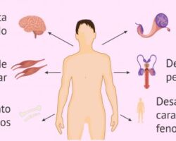 Ventajas y desventajas de la testosterona en el hombre.