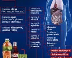 Ventajas y desventajas de las bebidas azucaradas.