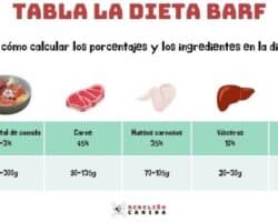 Ventajas y desventajas de la dieta BARF para perros.