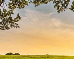 Ventajas y desventajas de vivir en el campo en inglés.